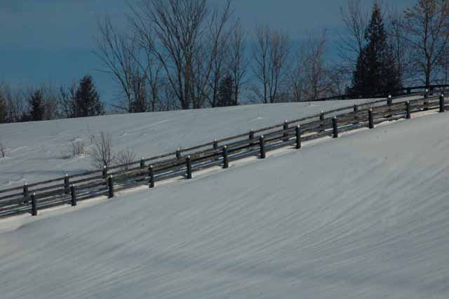 fields of snow